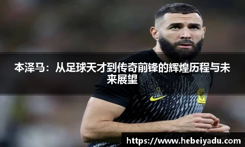 芒果体育app官网入口