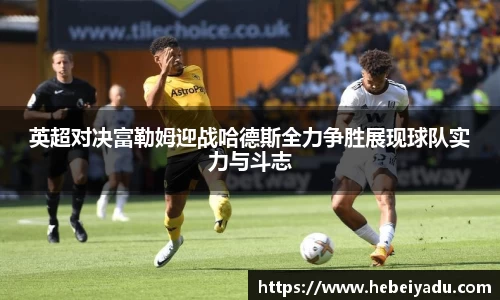 芒果体育app官网入口