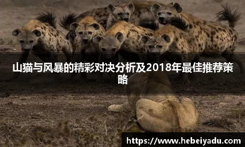 山猫与风暴的精彩对决分析及2018年最佳推荐策略